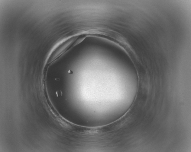 X0000054451328200508121900