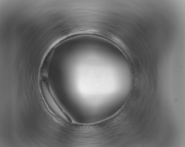 X0000054451332200508121901