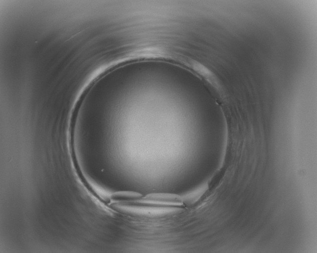 X0000054451334200508121901