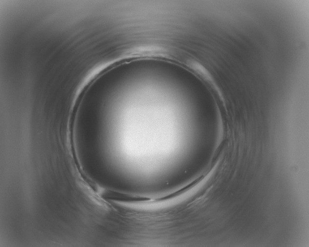 X0000054451336200508121901