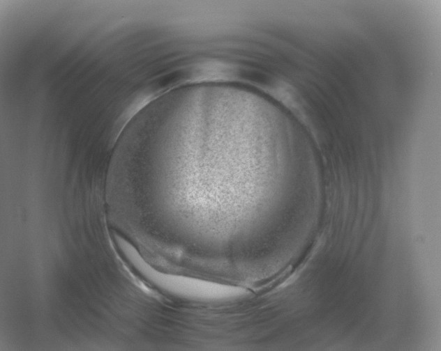 X0000054451337200508121901