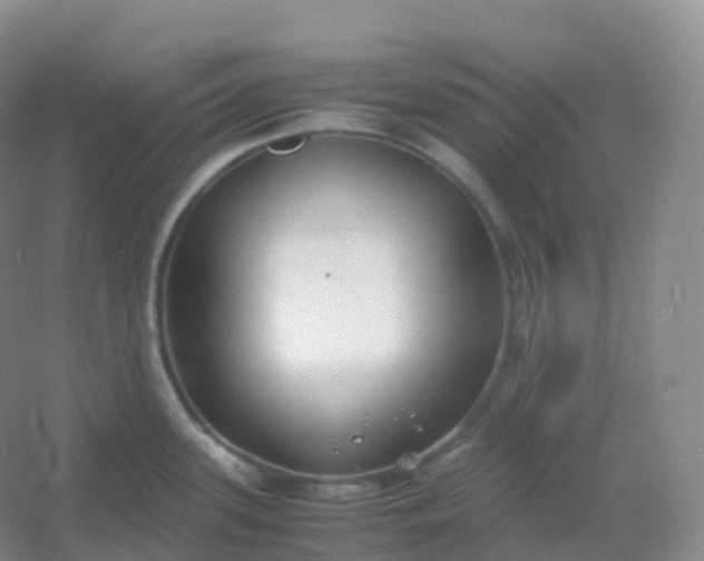 X0000054451339200508121901