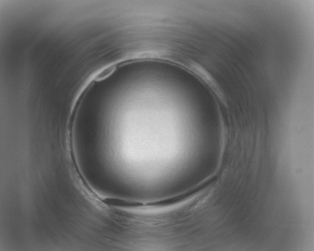 X0000054451340200508121901