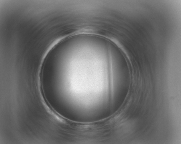 X0000054451341200508121901