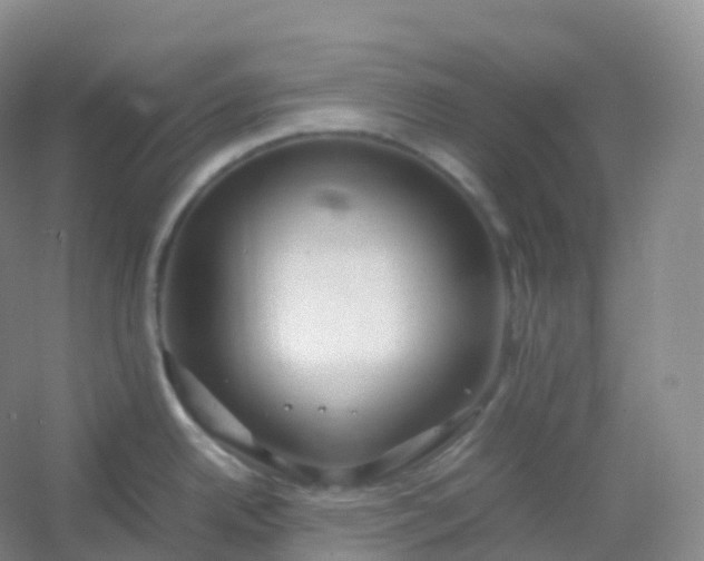 X0000054451342200508121901