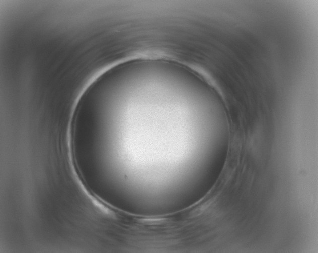 X0000054451343200508121901