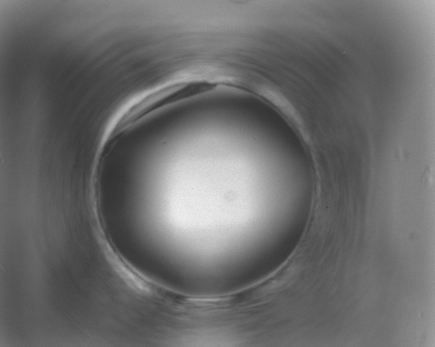 X0000054451344200508121901