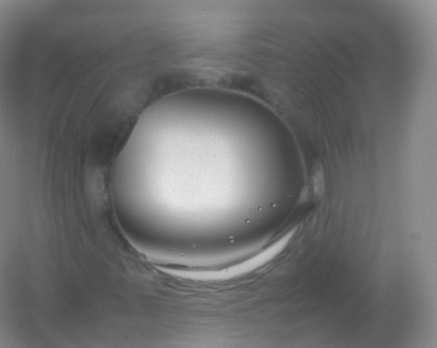 X0000054451347200508121900