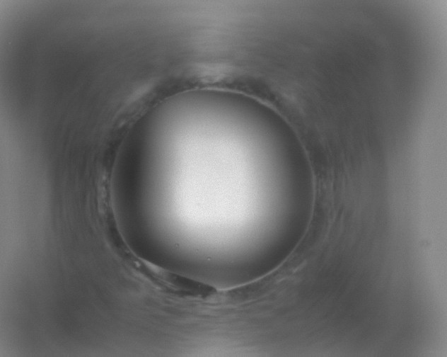 X0000054451349200508121900