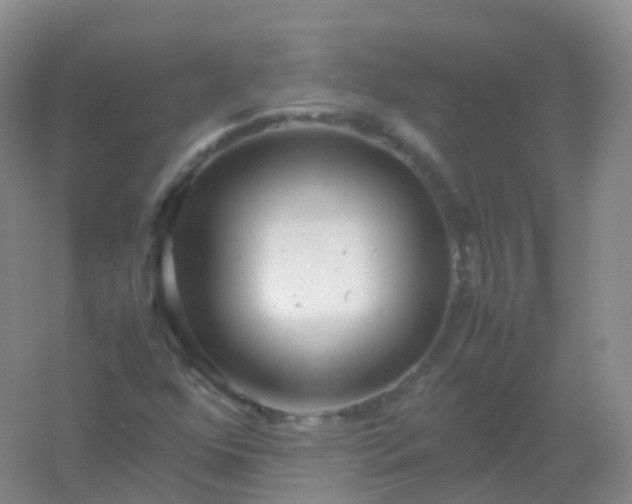 X0000054451352200508121900