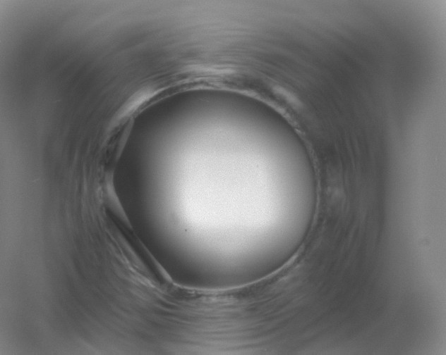 X0000054451354200508121900