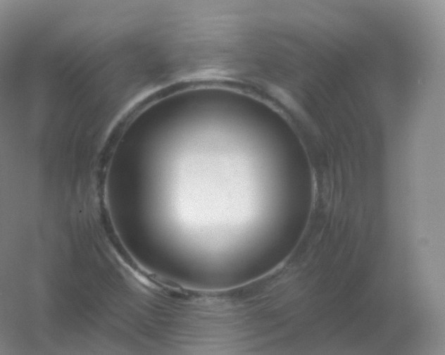 X0000054451356200508121900