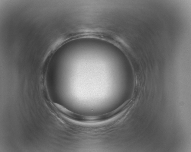 X0000054451357200508121900