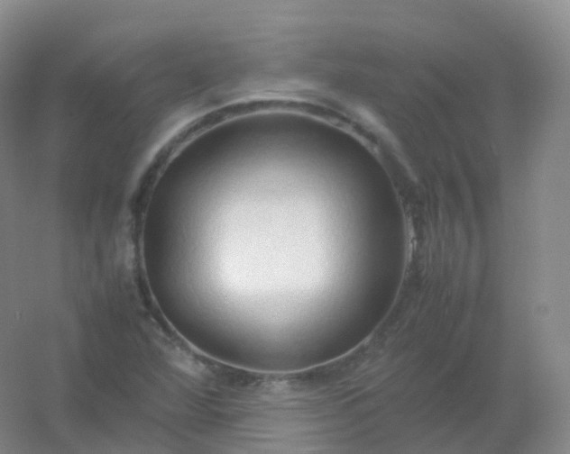X0000054451360200508121900