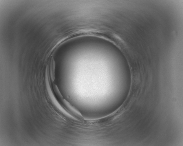 X0000054451361200508121900