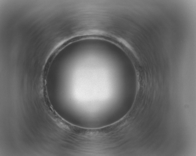 X0000054451364200508121900