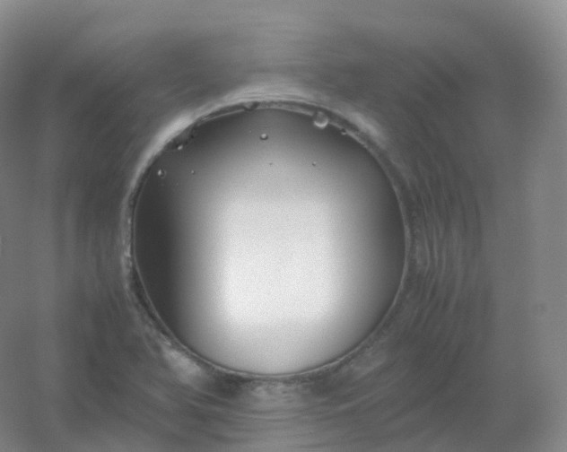 X0000054451366200508121900