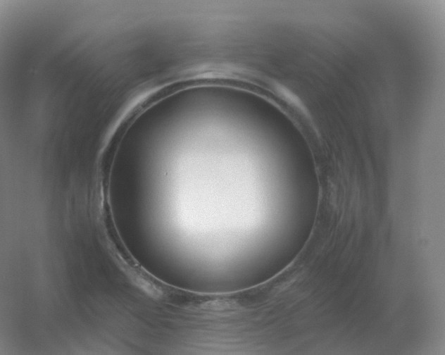 X0000054451368200508121900