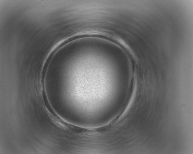 X0000054451372200508121859