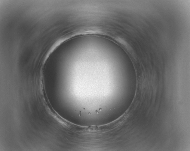 X0000054451374200508121859