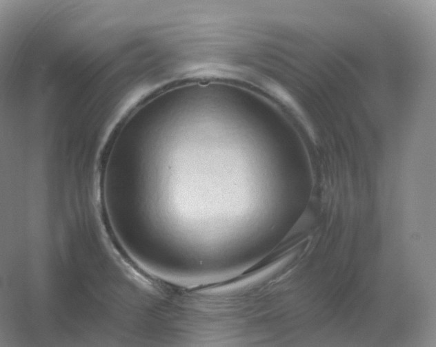 X0000054451376200508121859