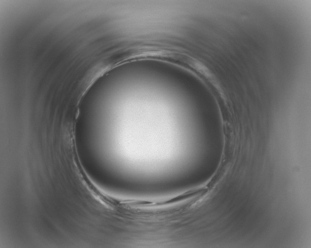 X0000054451377200508121859