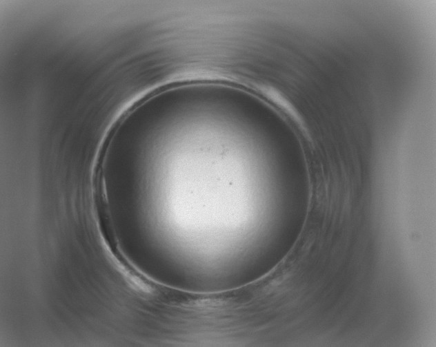 X0000054451380200508121859