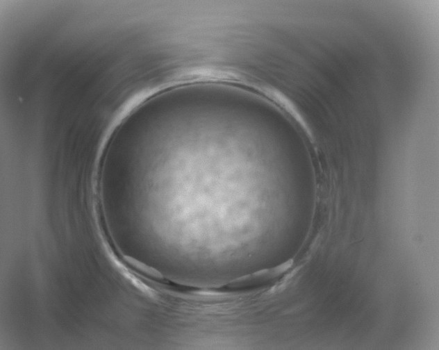 X0000054451381200508121859