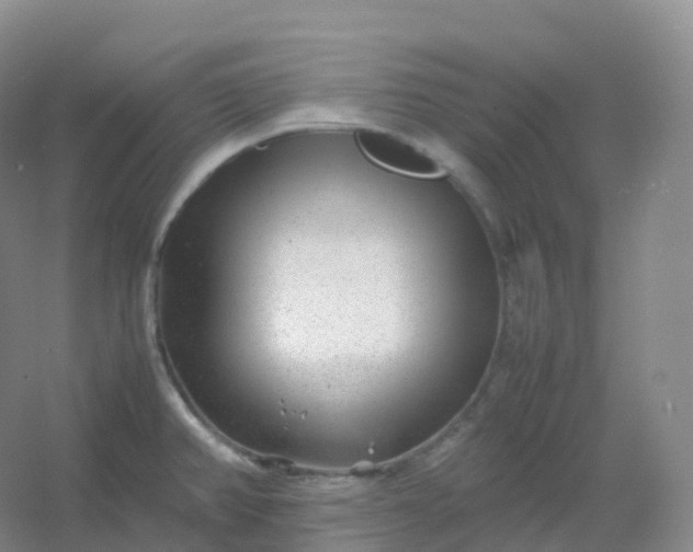 X0000054451382200508121859