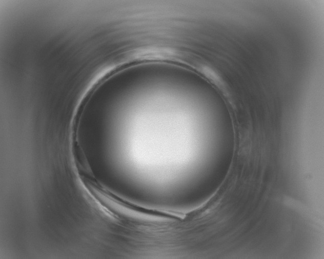 X0000054451384200508121859