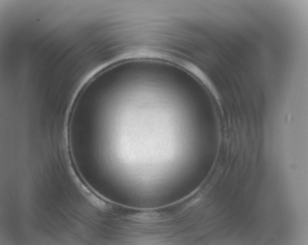 X0000054451388200508121859
