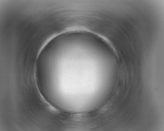 X0000054451390200508121859