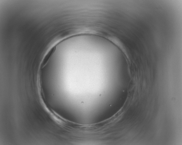 X0000054451391200508121859