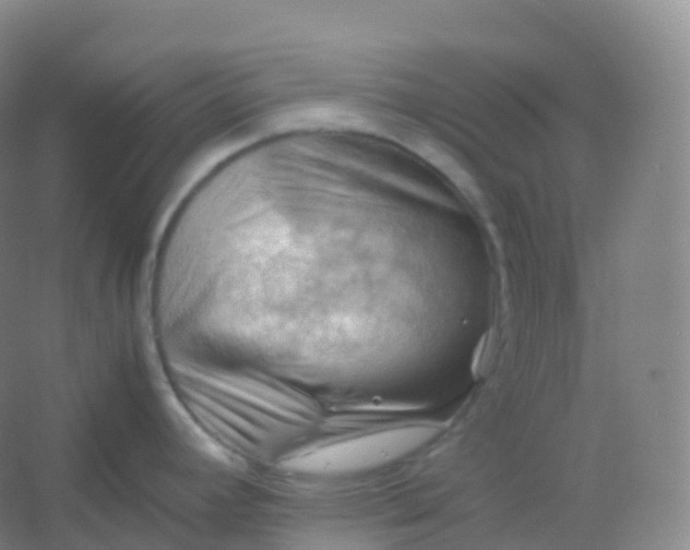 X0000054451392200508121859