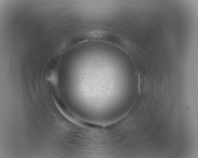 X0000054451394200508121858