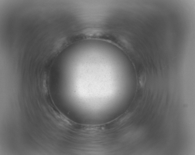 X0000054451396200508121858