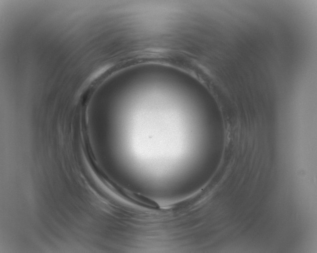 X0000054451402200508121858