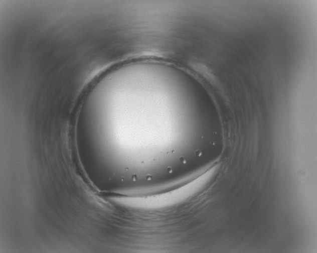 X0000054451404200508121859