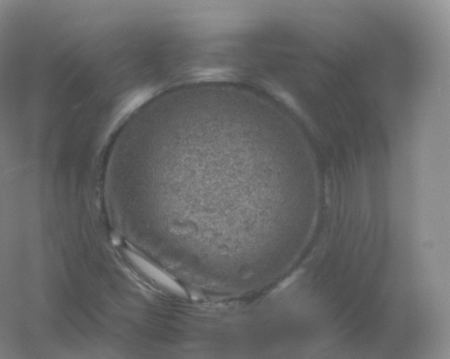 X0000054451405200508121859