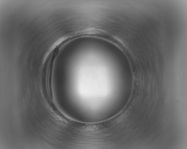 X0000054451410200508121859