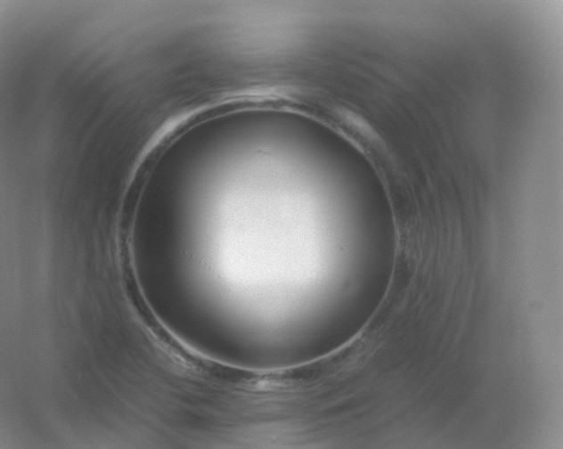 X0000054451412200508121859