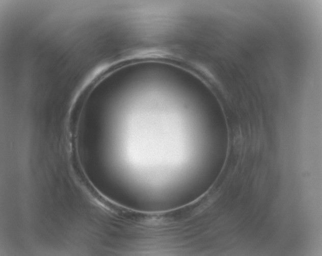 X0000054451414200508121859