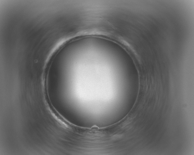 X0000054451416200508121859