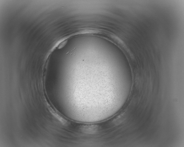 X0000054451417200508121859