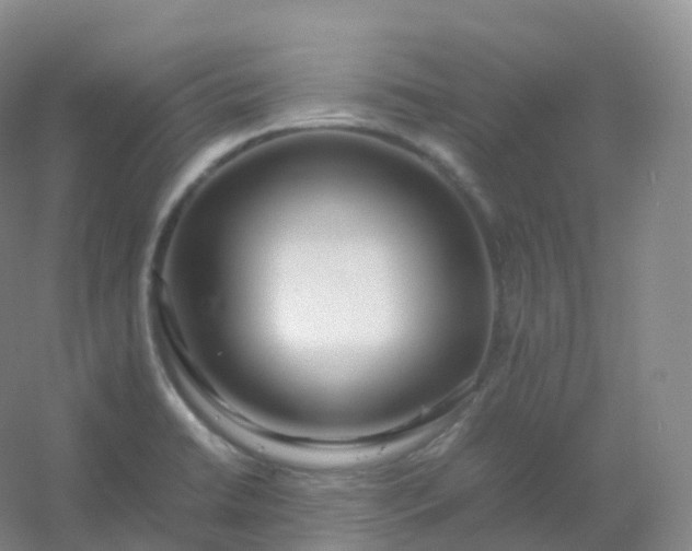 X0000054451422200508121859