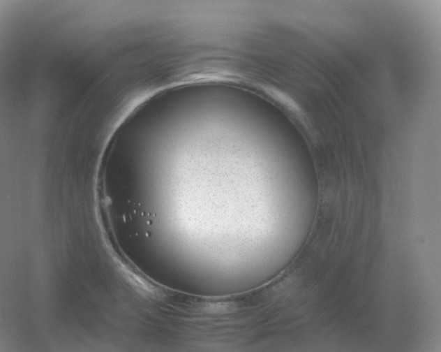X0000054451423200508121859