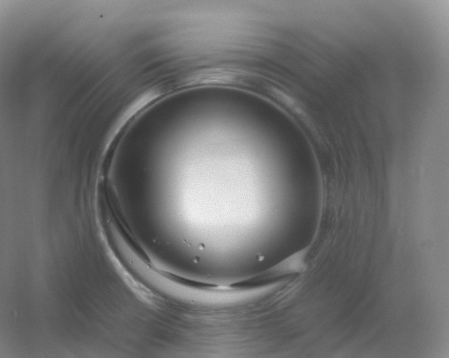 X0000054451426200508121859