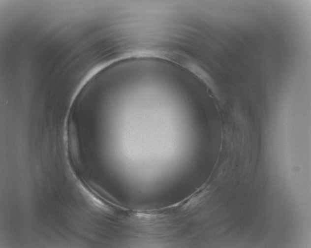 X0000054451428200508121859