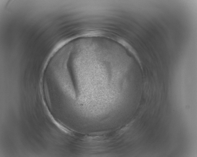X0000054451429200508121859