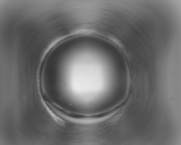 X0000054451430200508121859